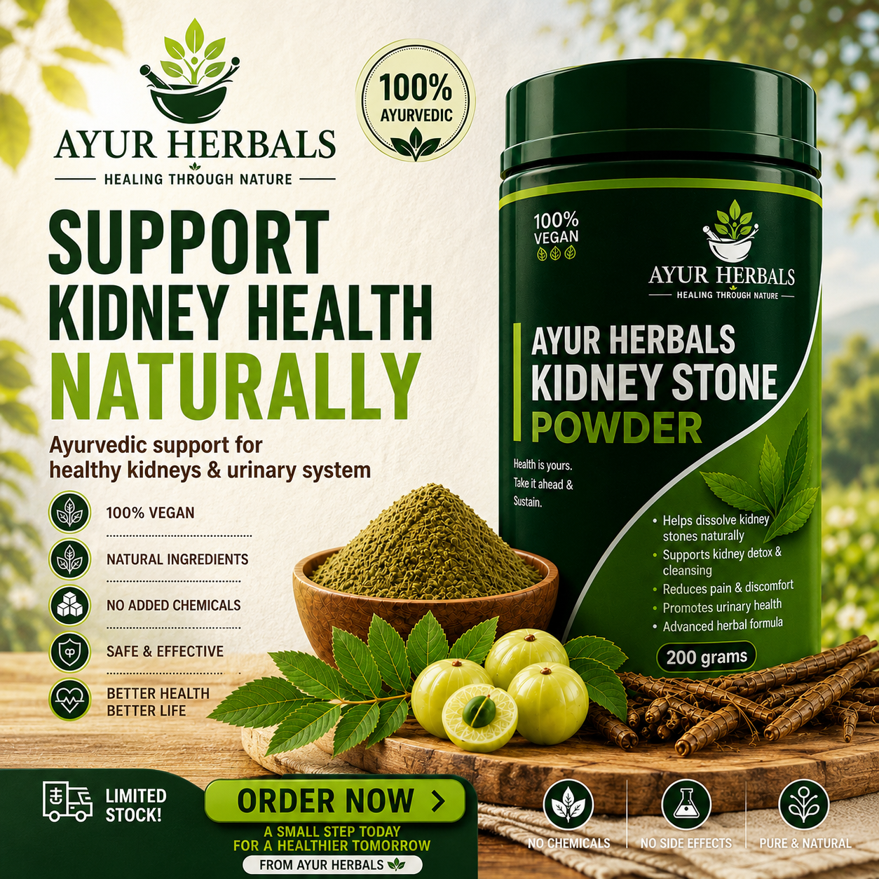 AYUR HERBALS -KIDNEY STONE RELIEF POWDAR-15 DEYS CHALLENGE